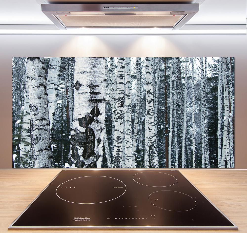 Cooker splashback Birch trees