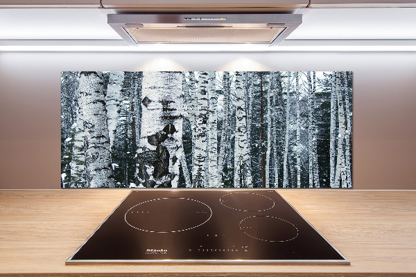 Cooker splashback Birch trees