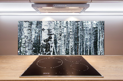 Cooker splashback Birch trees