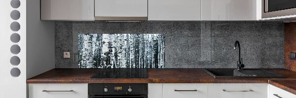 Cooker splashback Birch trees