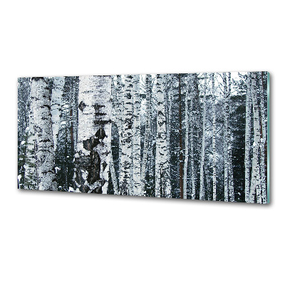 Cooker splashback Birch trees