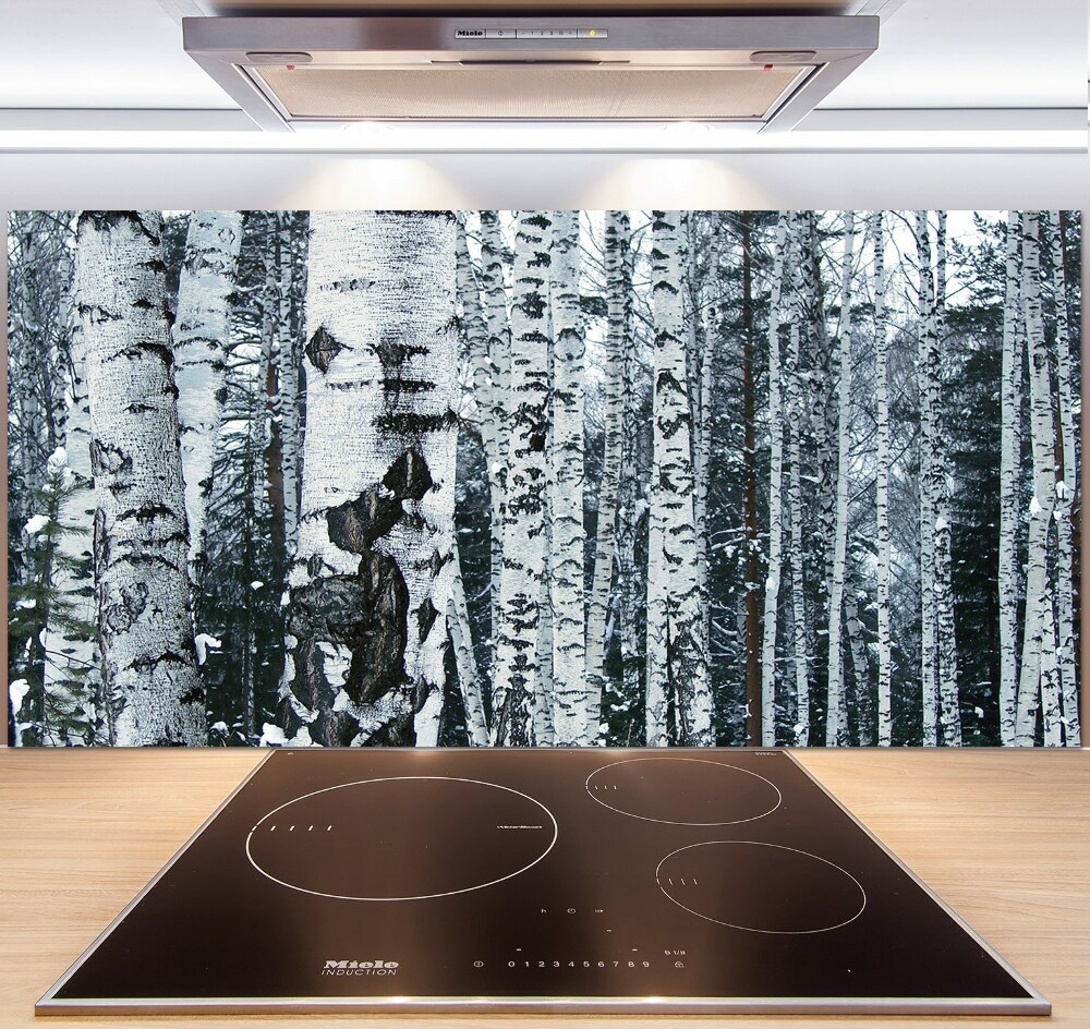 Cooker splashback Birch trees