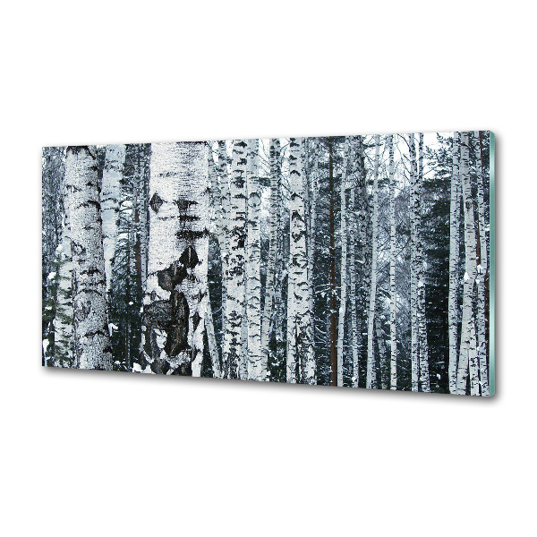 Cooker splashback Birch trees