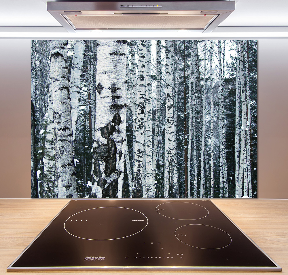 Cooker splashback Birch trees