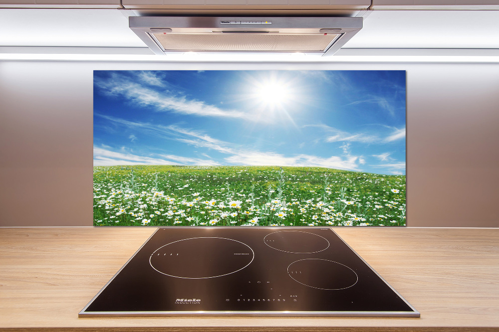 Cooker splashback Meadow