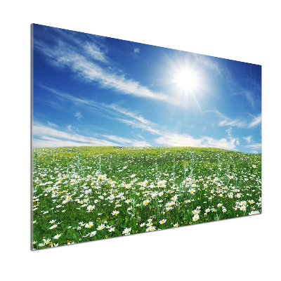 Cooker splashback Meadow