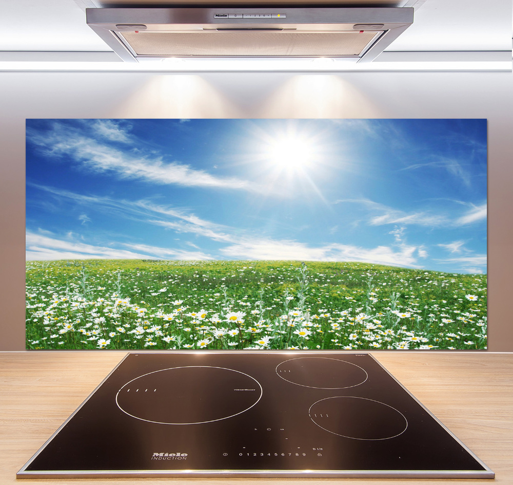 Cooker splashback Meadow