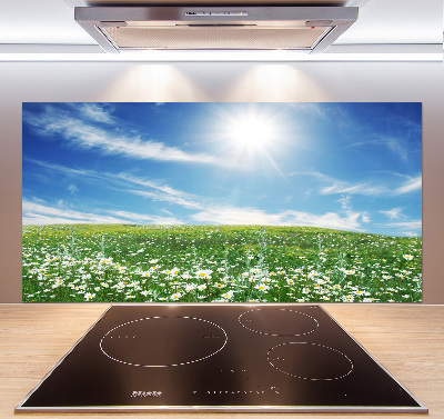 Cooker splashback Meadow