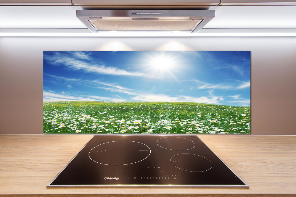 Cooker splashback Meadow