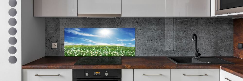 Cooker splashback Meadow