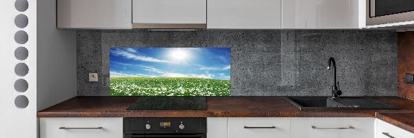 Cooker splashback Meadow