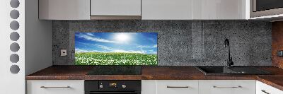 Cooker splashback Meadow