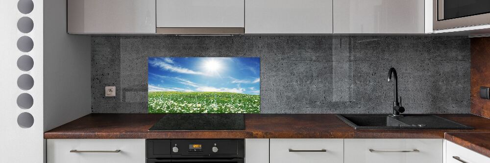 Cooker splashback Meadow