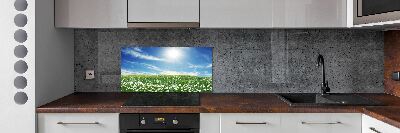 Cooker splashback Meadow