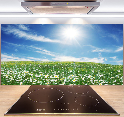 Cooker splashback Meadow