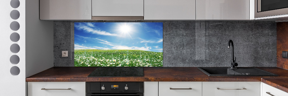 Cooker splashback Meadow