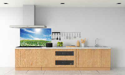 Cooker splashback Meadow