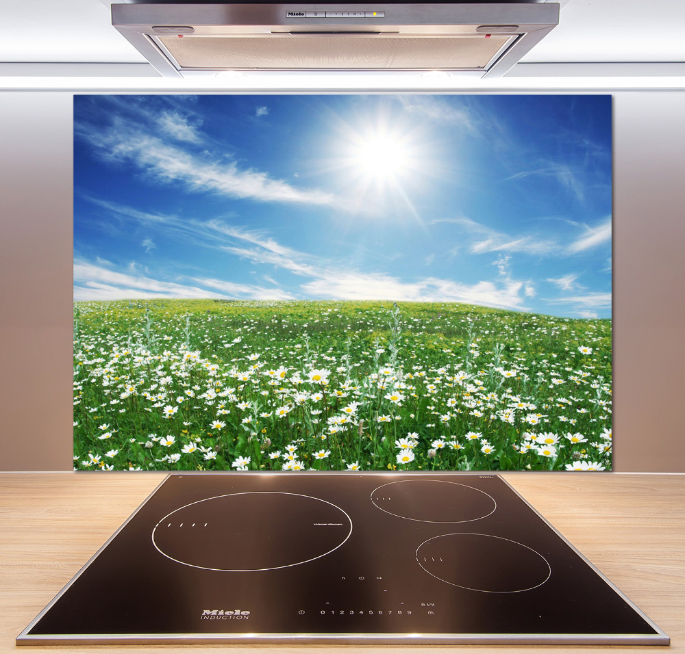 Cooker splashback Meadow