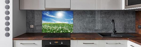 Cooker splashback Meadow