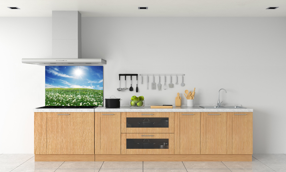 Cooker splashback Meadow