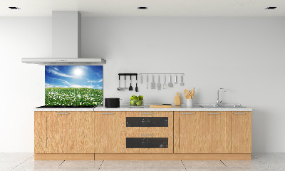 Cooker splashback Meadow