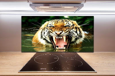 Kitchen wall panels Roaring tiger