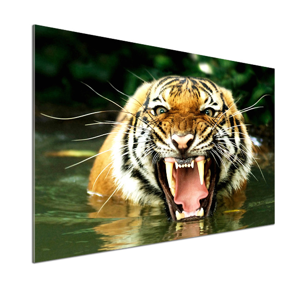 Kitchen wall panels Roaring tiger