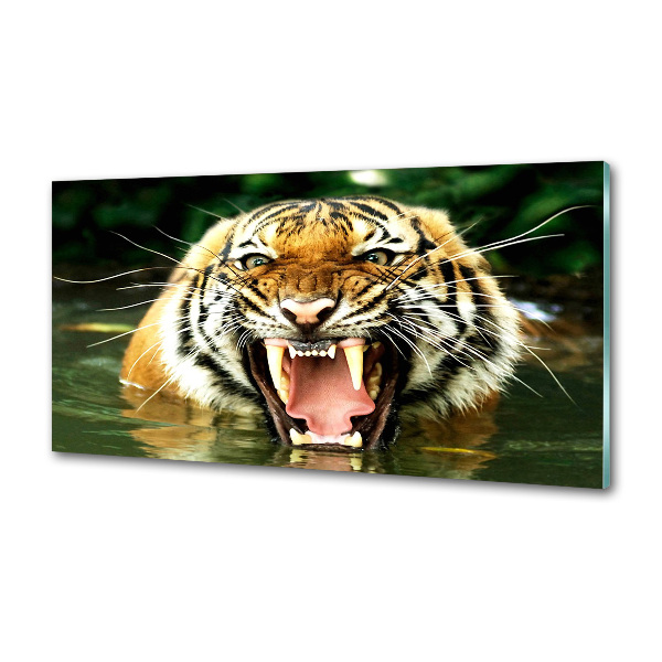 Kitchen wall panels Roaring tiger