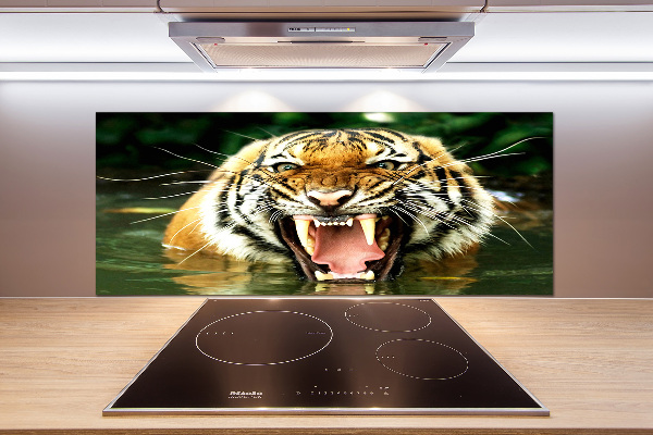 Kitchen wall panels Roaring tiger