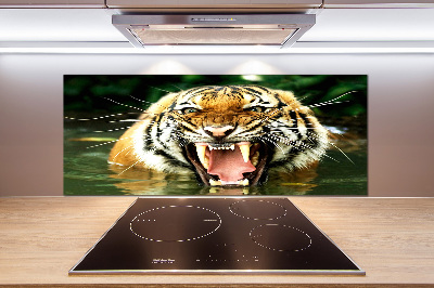 Kitchen wall panels Roaring tiger