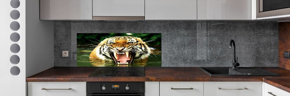 Kitchen wall panels Roaring tiger