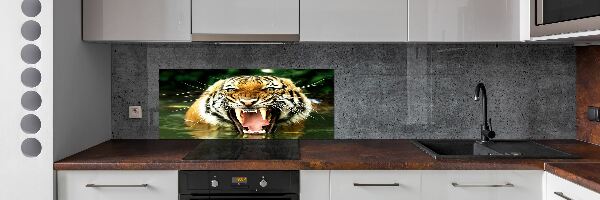 Kitchen wall panels Roaring tiger