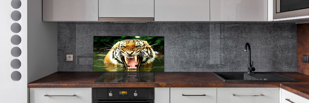 Kitchen wall panels Roaring tiger