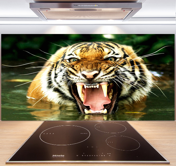 Kitchen wall panels Roaring tiger