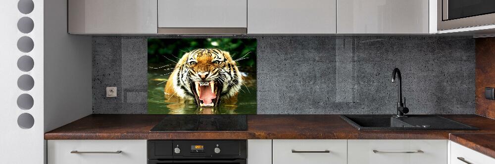 Kitchen wall panels Roaring tiger