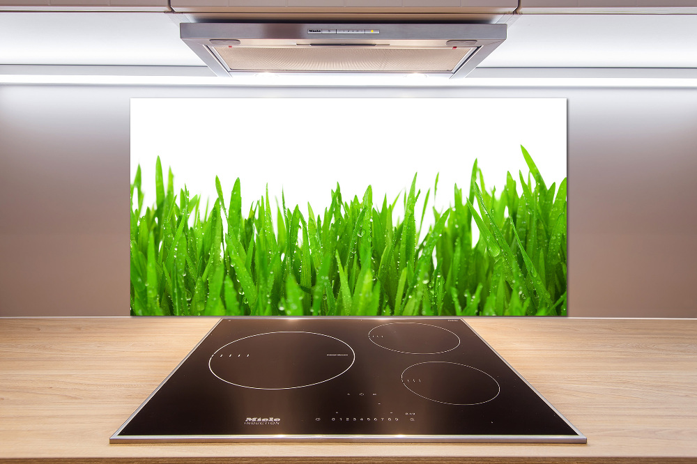 Cooker splashback Grass