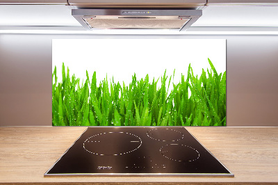 Cooker splashback Grass