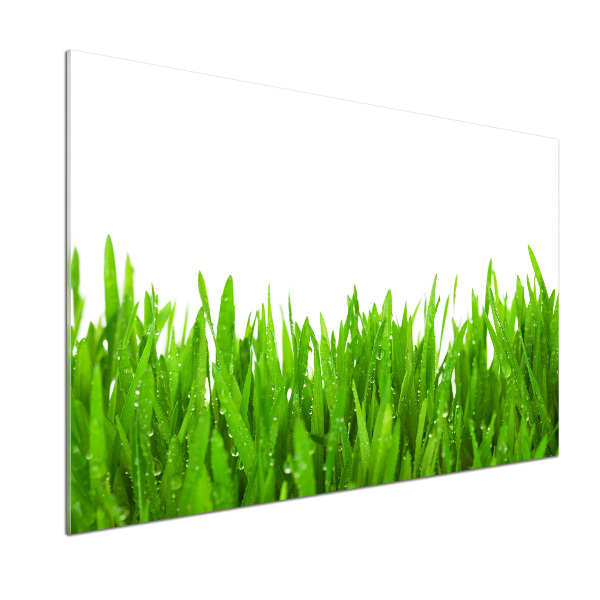 Cooker splashback Grass