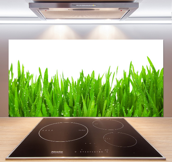 Cooker splashback Grass