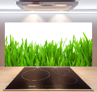 Cooker splashback Grass