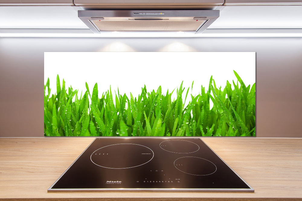 Cooker splashback Grass