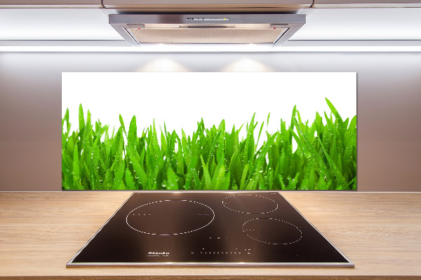 Cooker splashback Grass