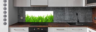 Cooker splashback Grass