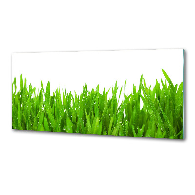 Cooker splashback Grass