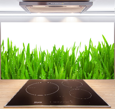 Cooker splashback Grass