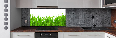 Cooker splashback Grass