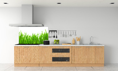 Cooker splashback Grass