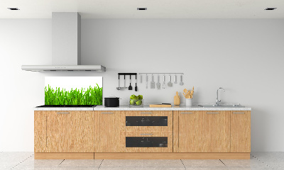 Cooker splashback Grass