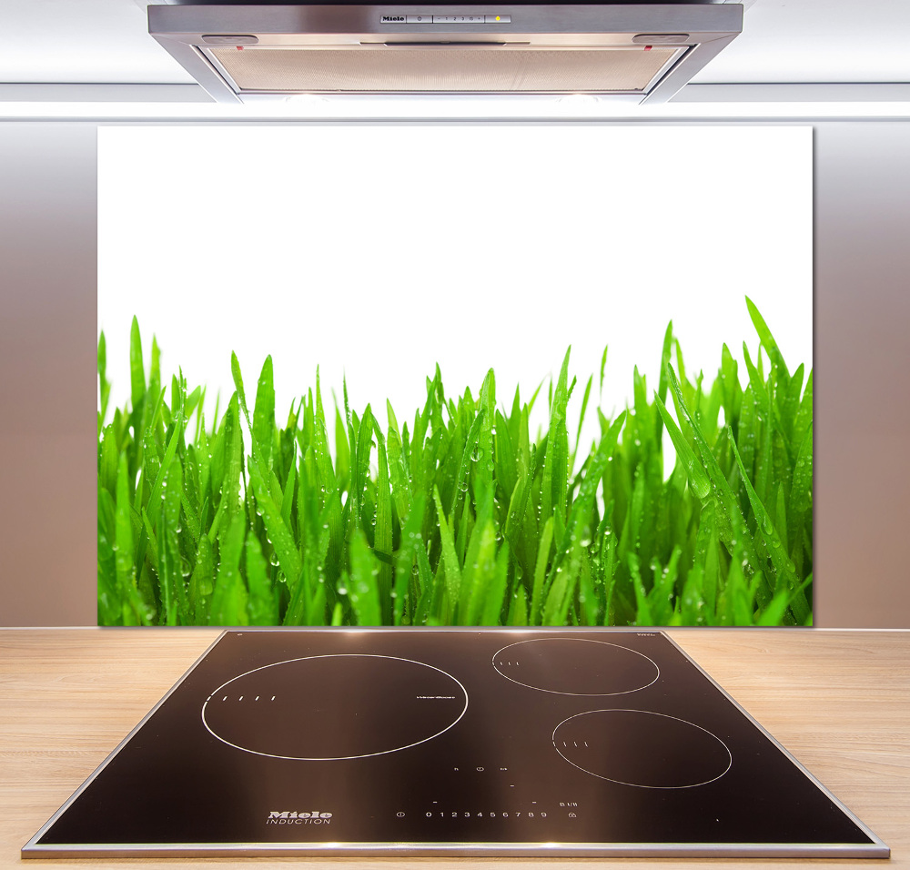 Cooker splashback Grass