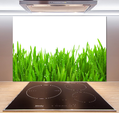 Cooker splashback Grass